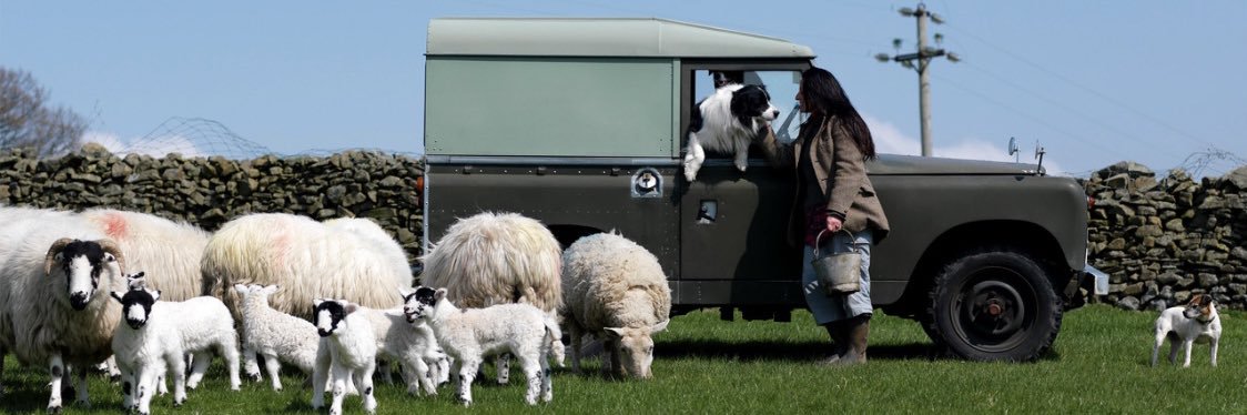 Alison O’Neill ~ Shepherdess banner