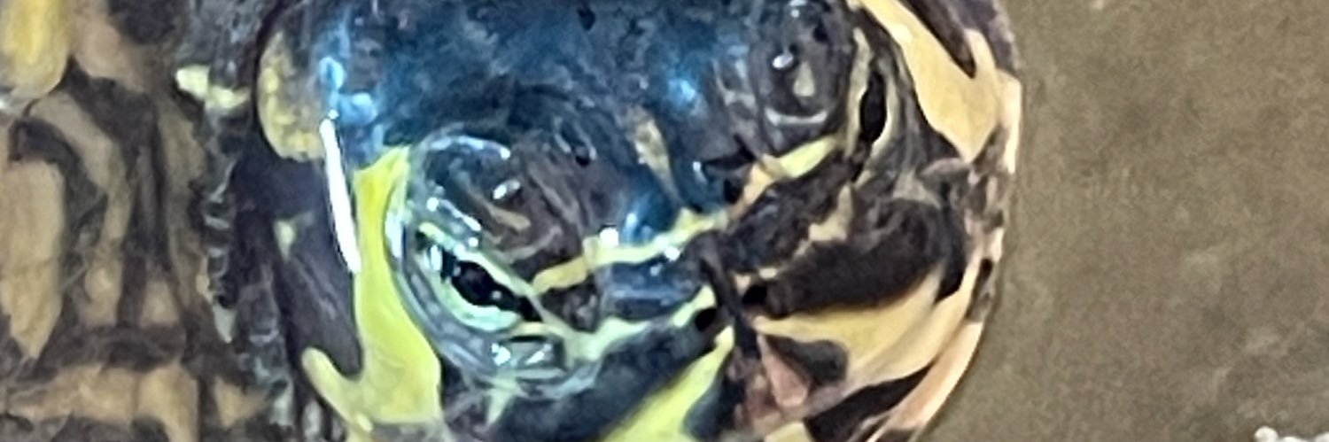 VeroDlct's profile banner image