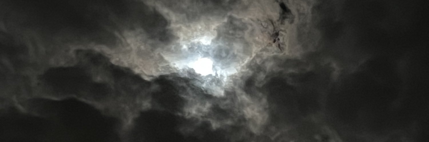 Bilel 🇩🇿⚜️ banner