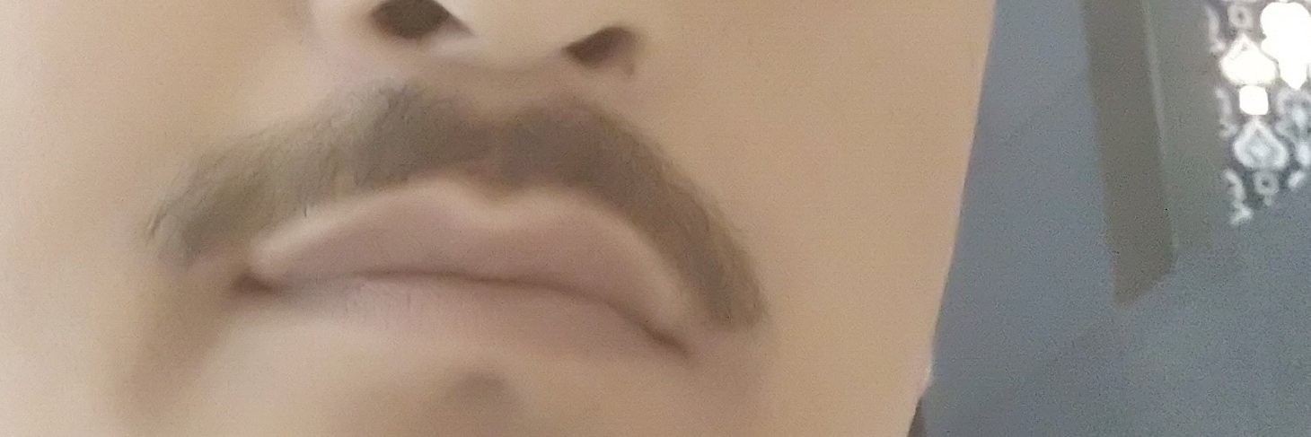 mrdevdbg's profile banner image