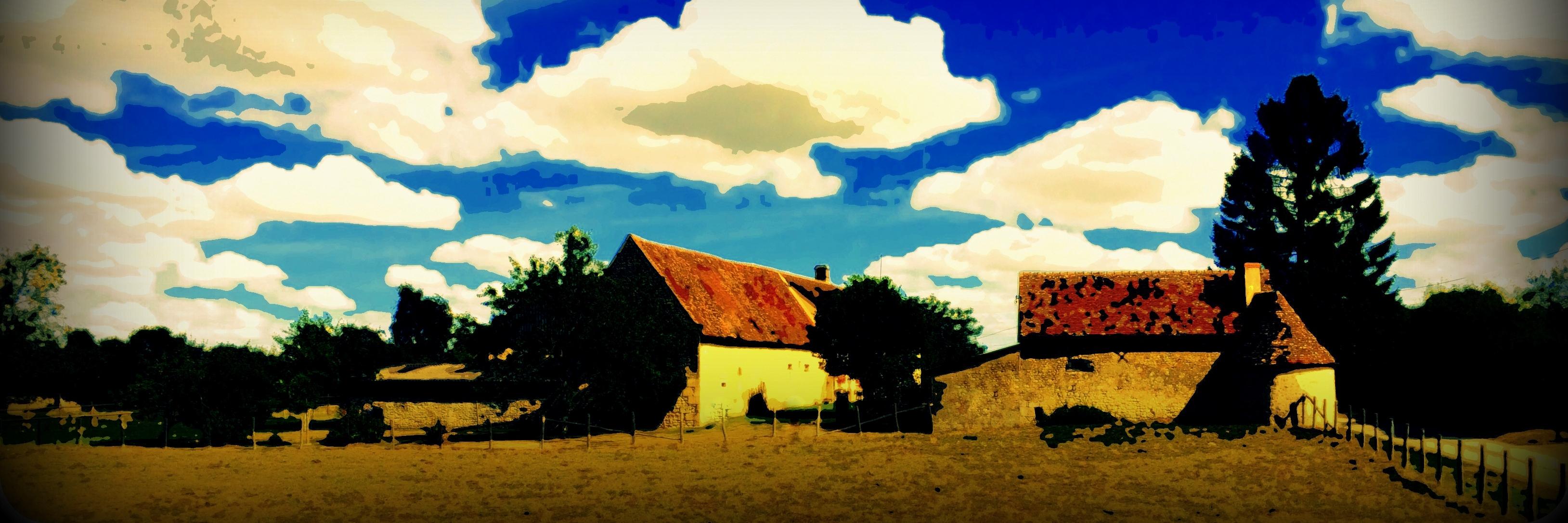 NiCoBfs's profile banner image