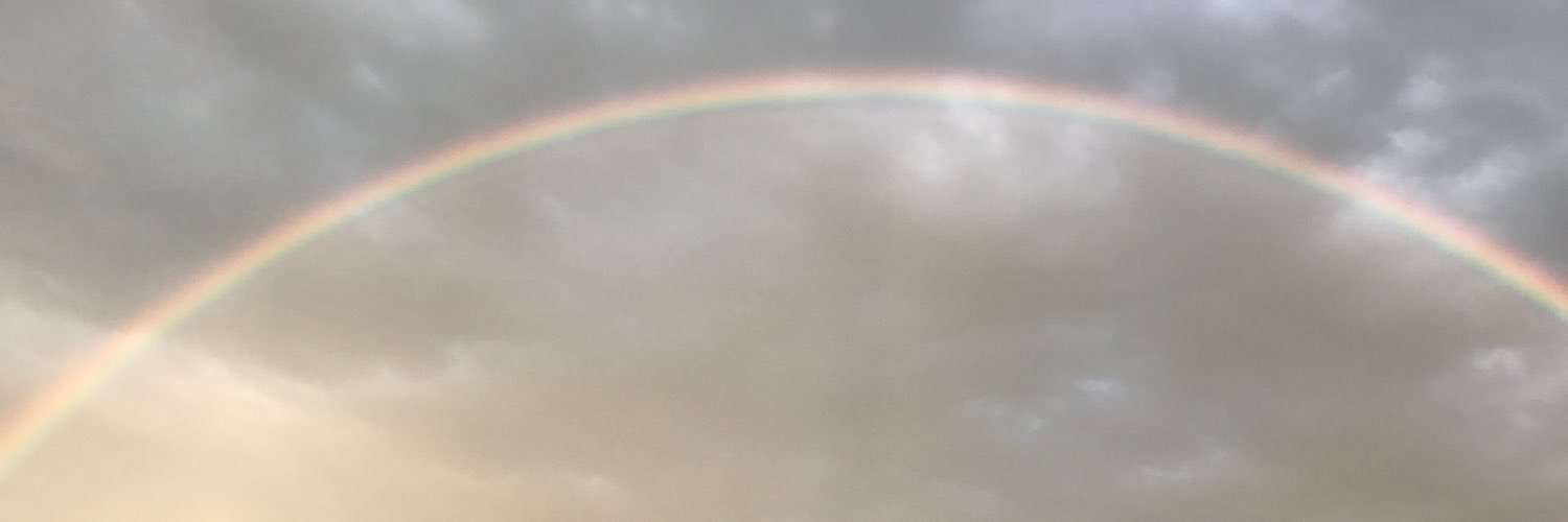 lundyla's profile banner image
