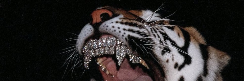 shvggie's profile banner image