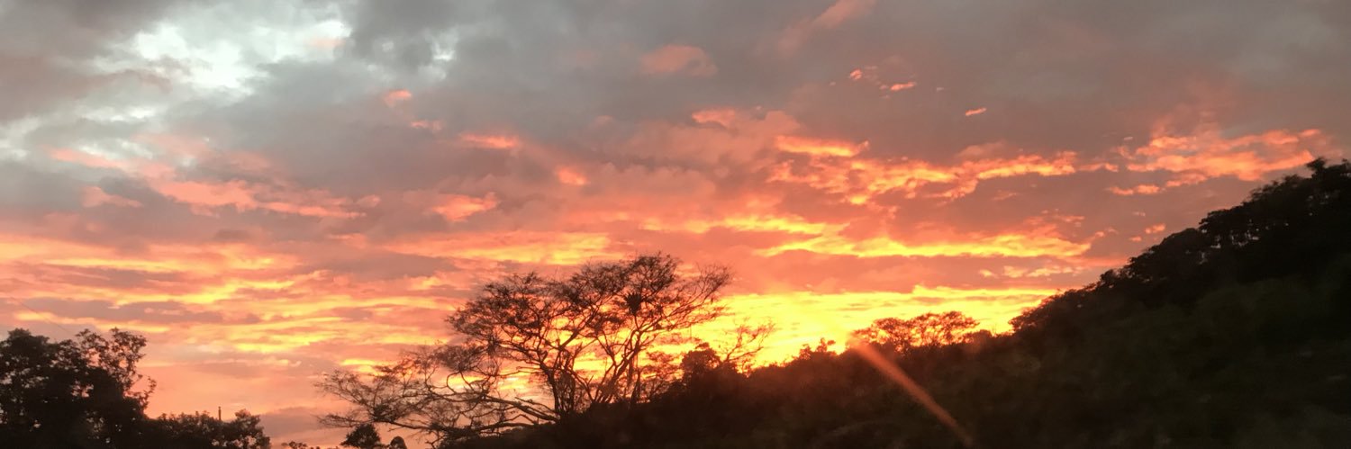 Diforcito's profile banner image