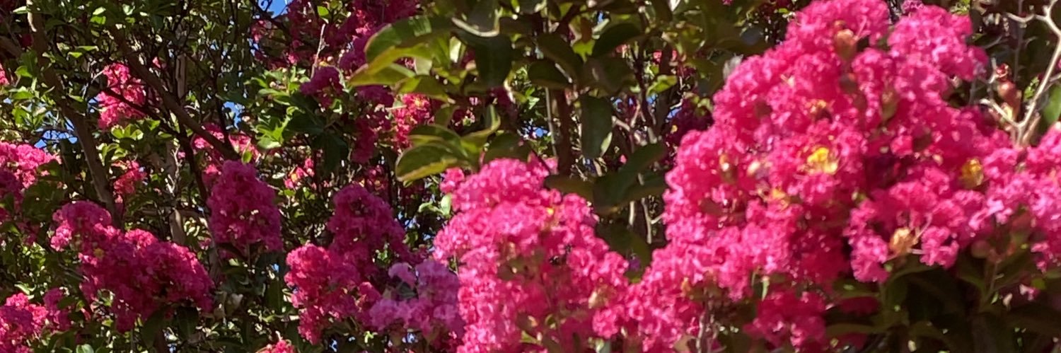 danajefferson's profile banner image