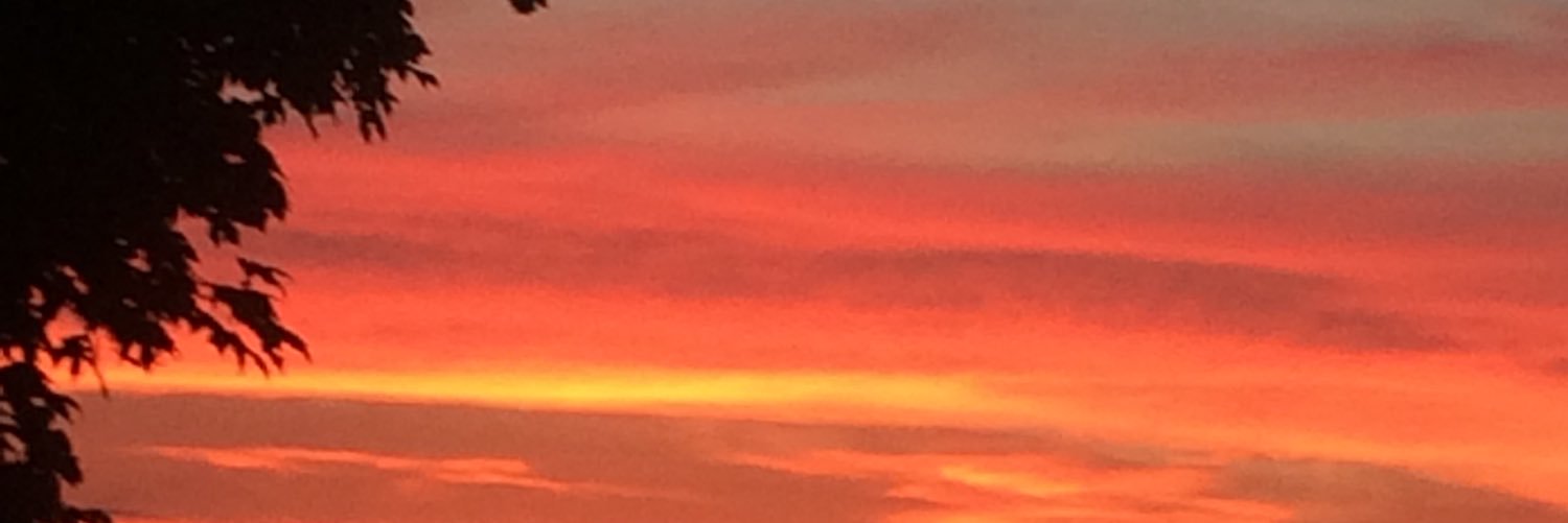 dsherrell91's profile banner image