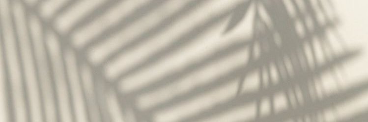 DollyHKM's profile banner image