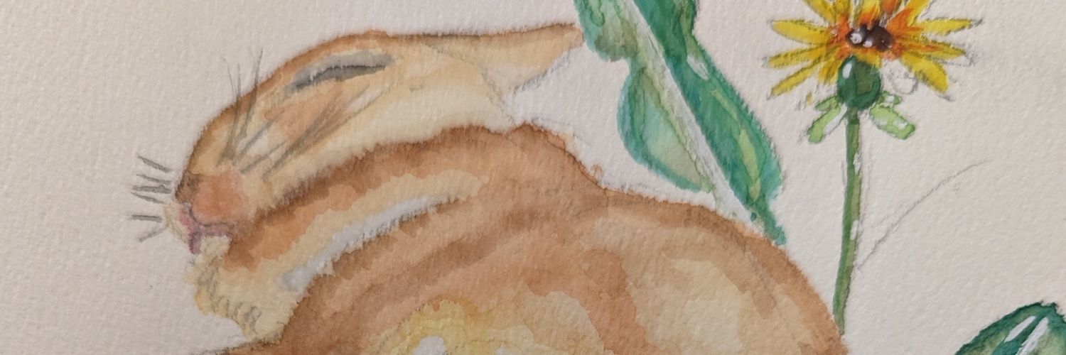 marineko33's profile banner image