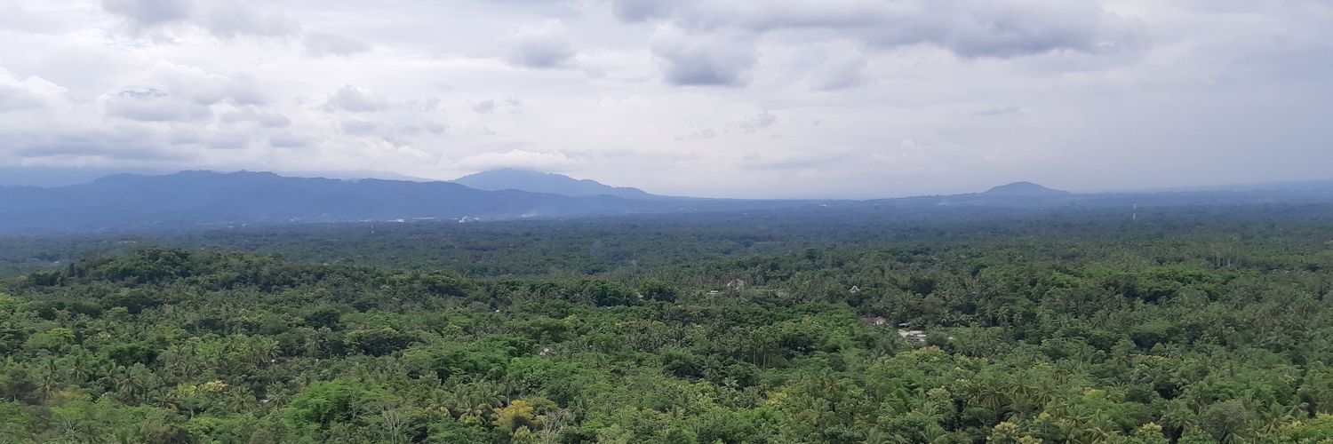 Alvin hartojo banner