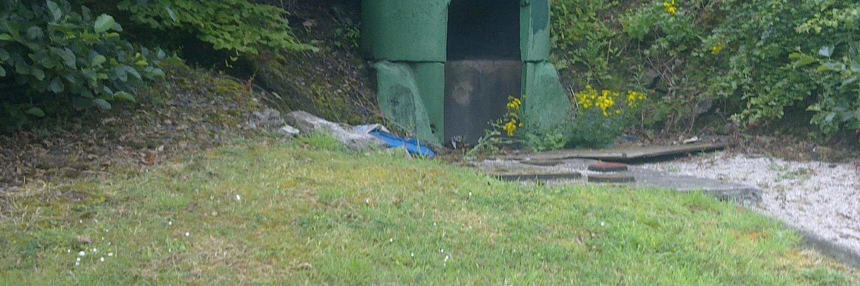 HMArmedForcesReview banner