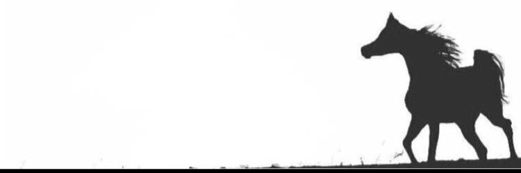 aboorh34_'s profile banner image
