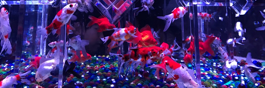 aaaaaaapppfel's profile banner image