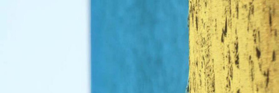 Idafe Pérez Jiménez banner