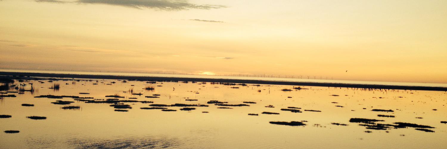 Dr. Nigel McKelvey banner