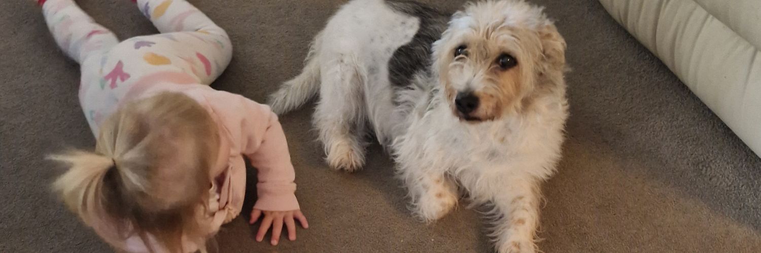 ChloeE2423's profile banner image