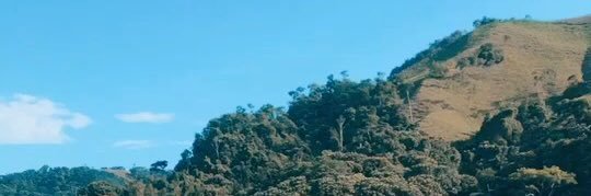 Evecdz's profile banner image