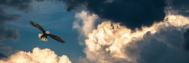 jypsy7771's profile banner image