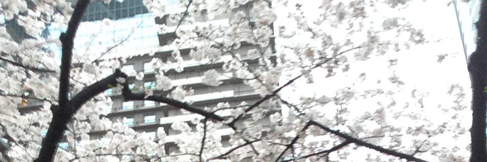 daisuke_rena's profile banner image