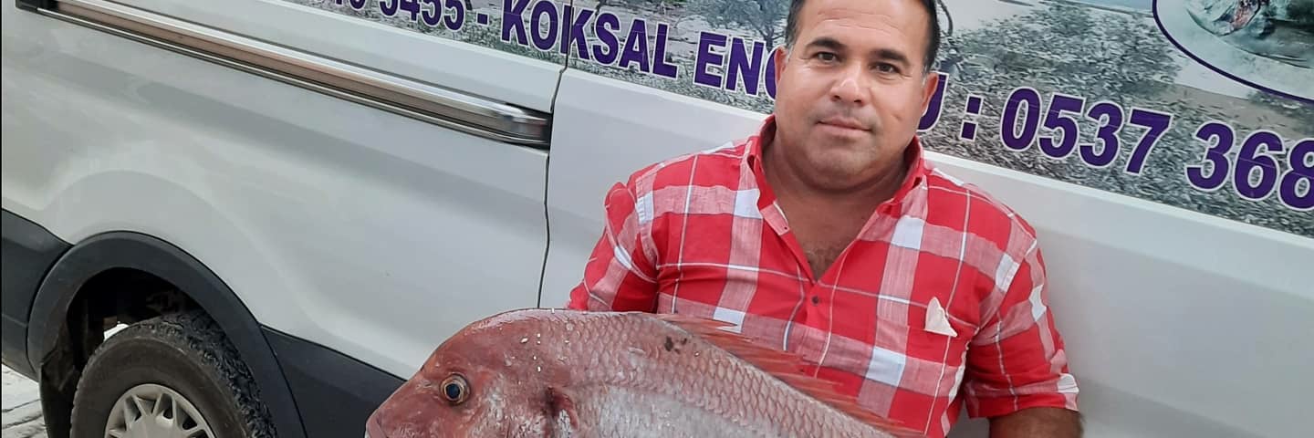 KksalVrn's profile banner image