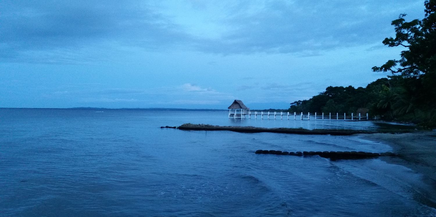 tatoguate's profile banner image