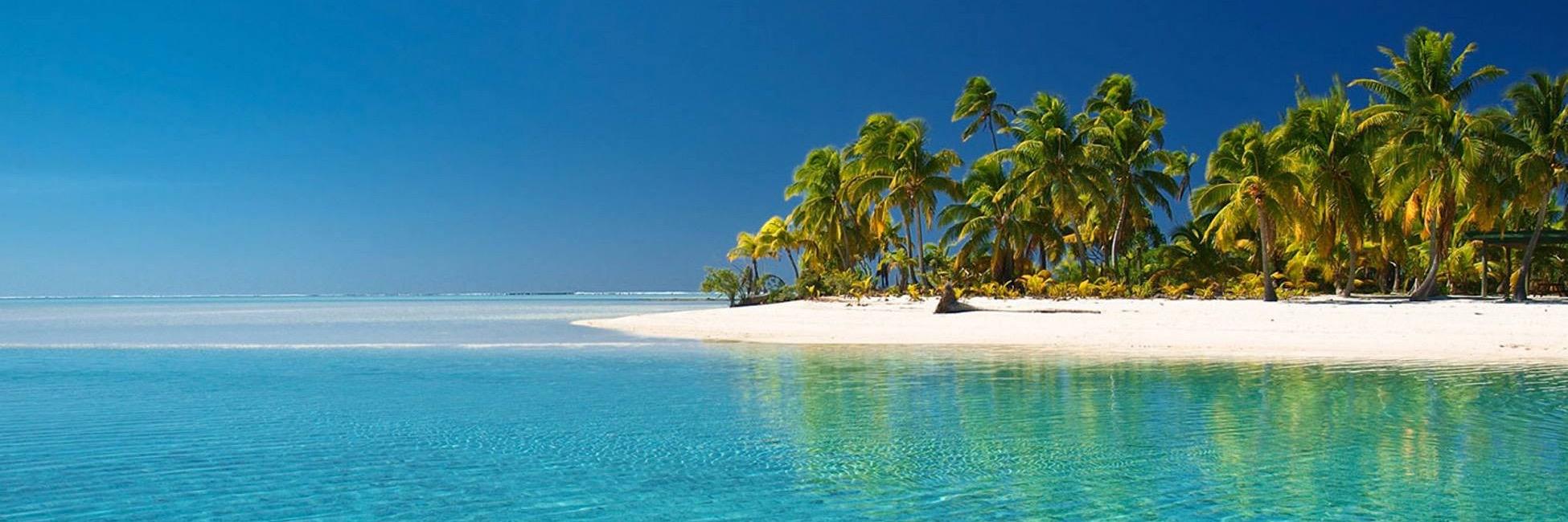 MarthaMarron banner