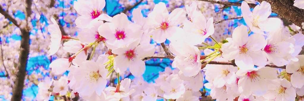 eun_munyo's profile banner image