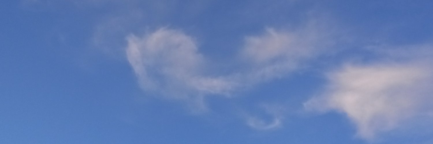 JuliaSB2020's profile banner image