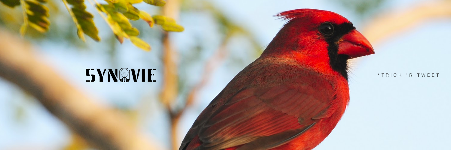 SynovieProd's profile banner image