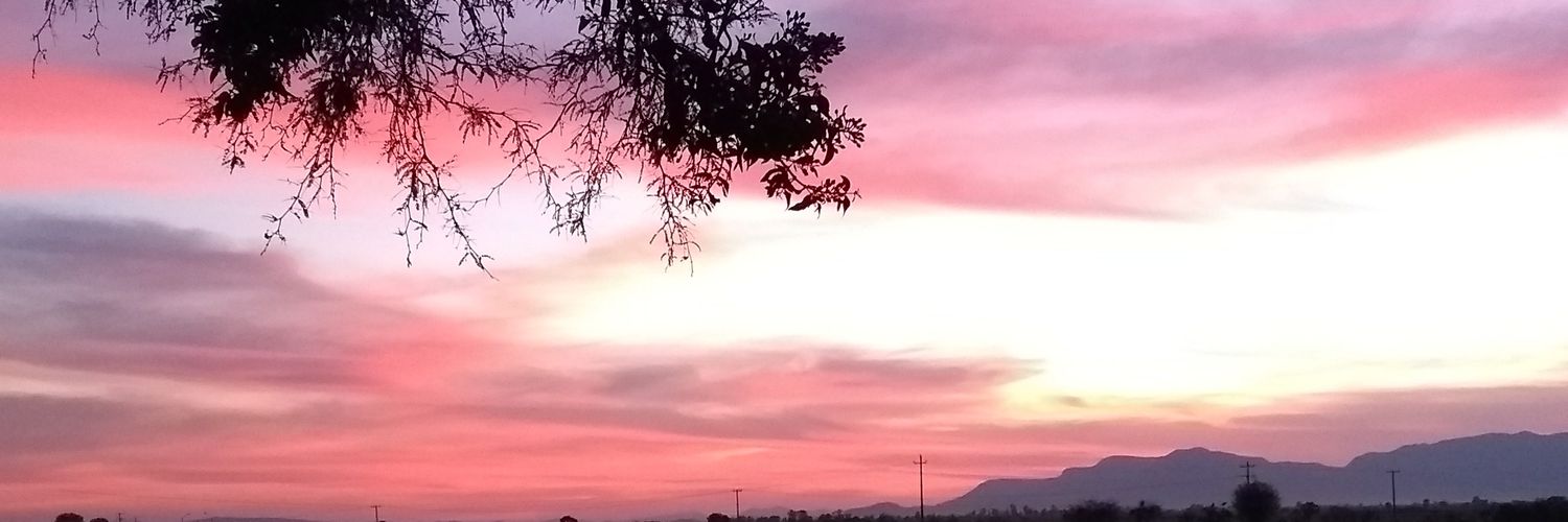 luis_cushi's profile banner image