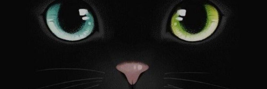 suheda_21's profile banner image