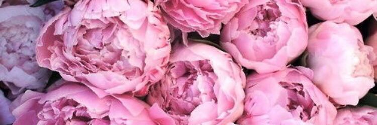 cassidy81885367's profile banner image