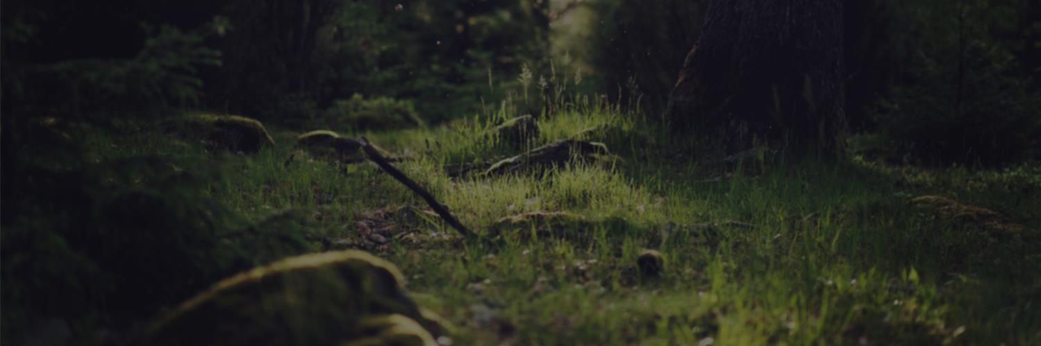 MartinRuston's profile banner image