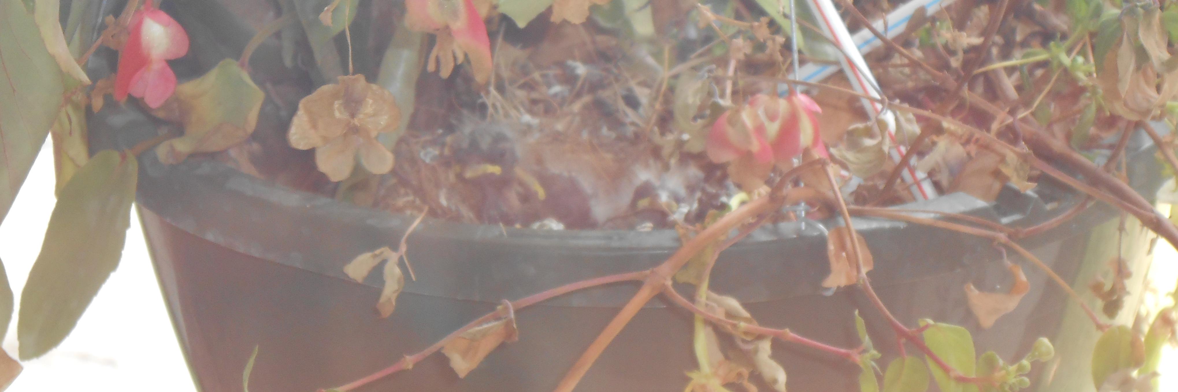 Marti_Jones's profile banner image