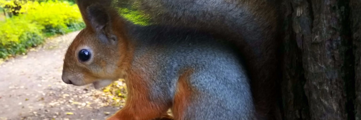 Maverick_4x4's profile banner image