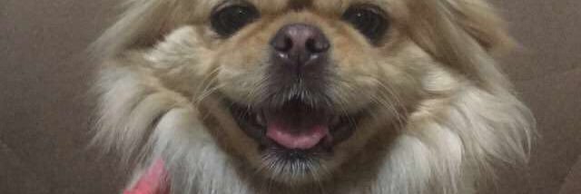 mrymsolak's profile banner image