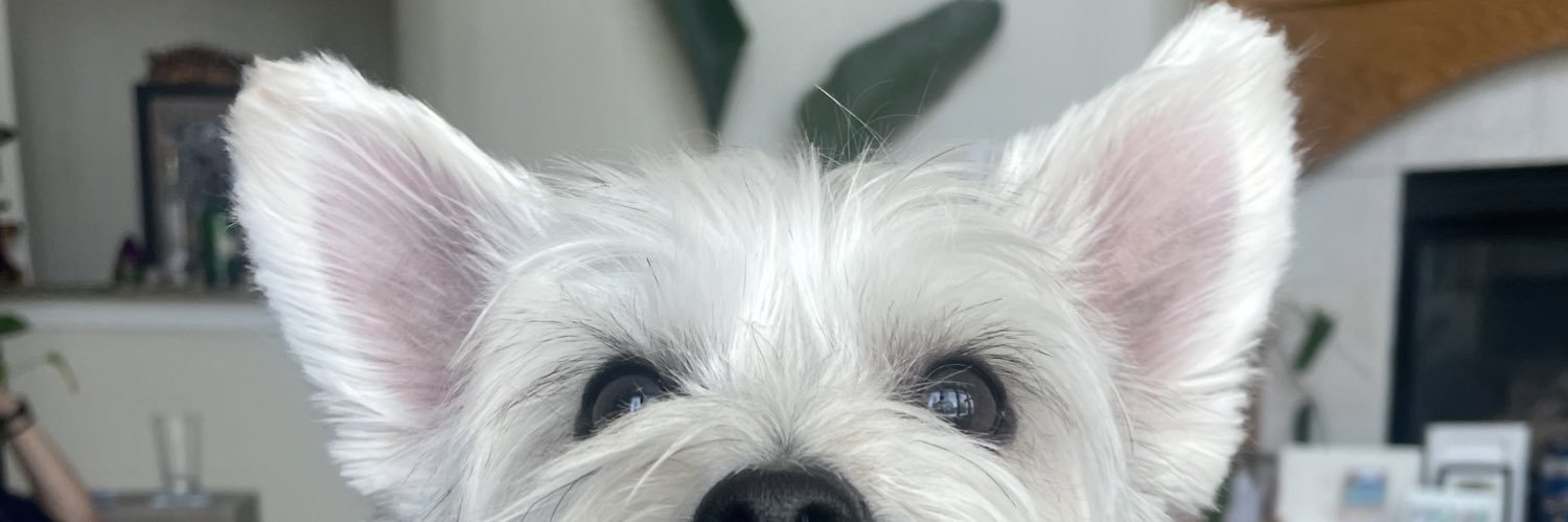 eazybabe jayde♡︎ banner