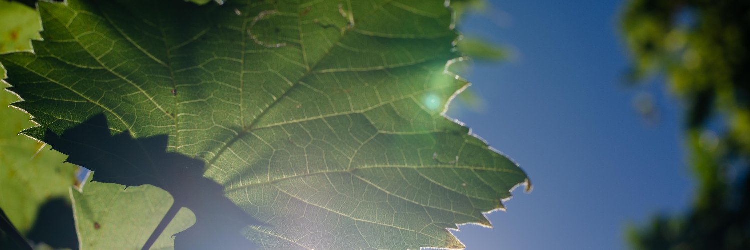 debmaybury's profile banner image