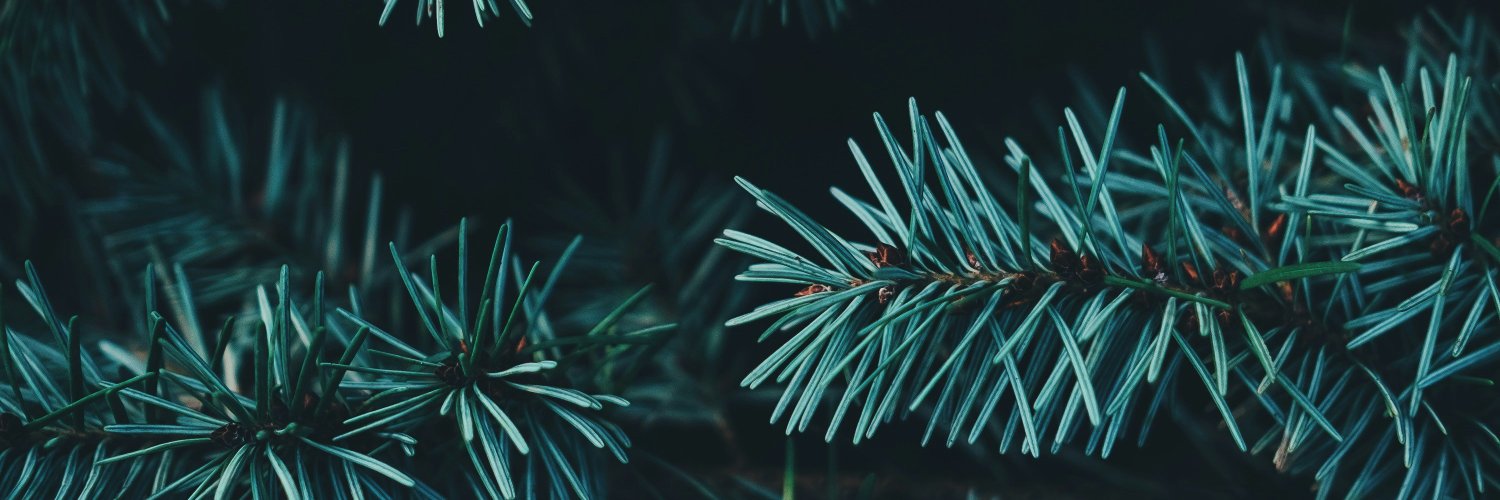 Nicebentbro's profile banner image