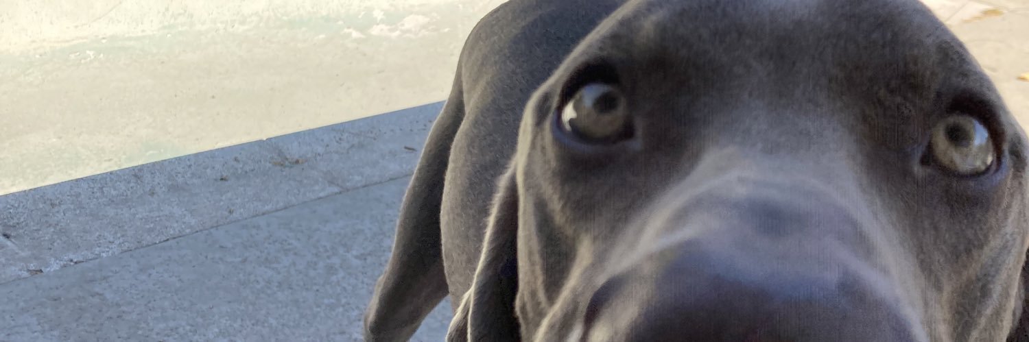 MaxIMillz_'s profile banner image