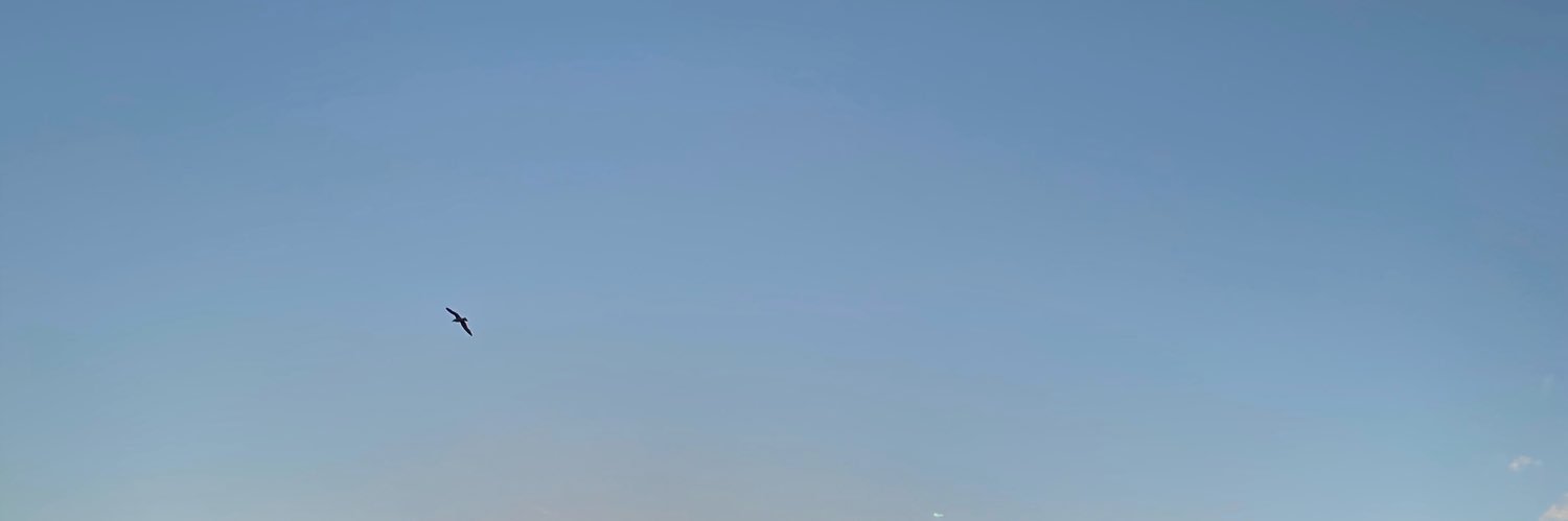 jennafrickleton's profile banner image
