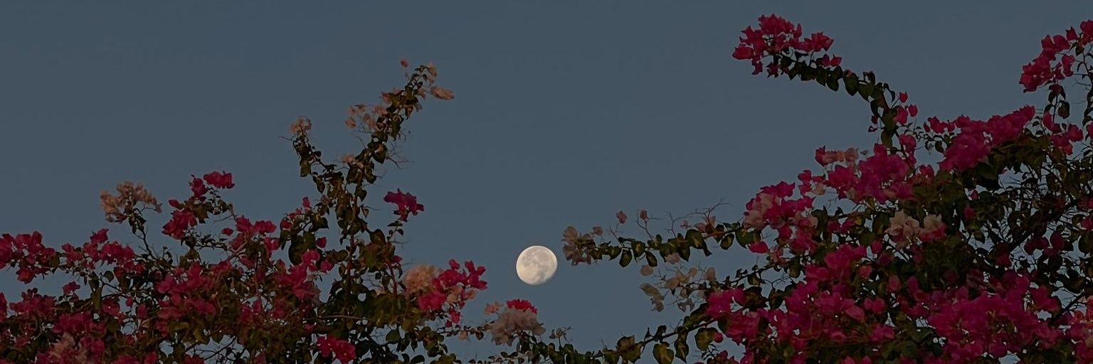 Reem3z_'s profile banner image