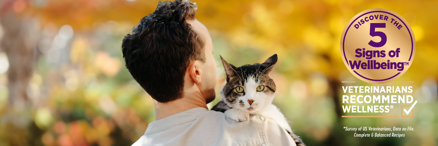 Wellness Pet Food banner