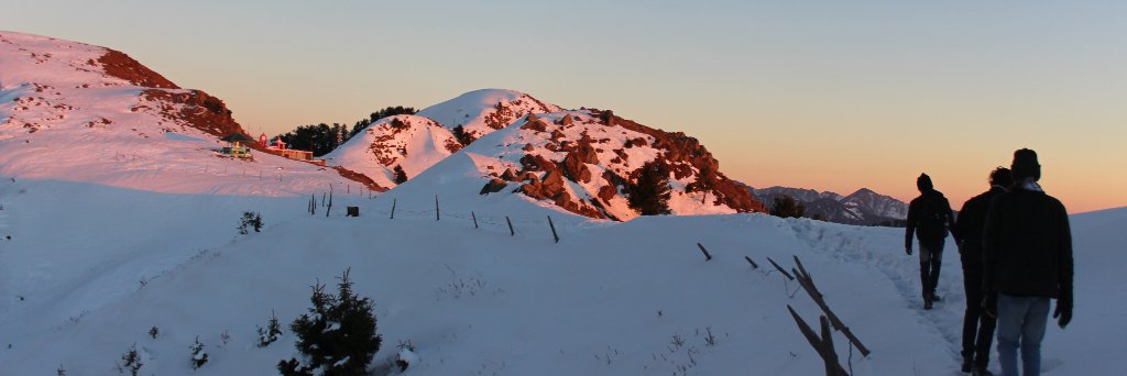 SHΛSHWΛT ☀️☀️☀️ banner