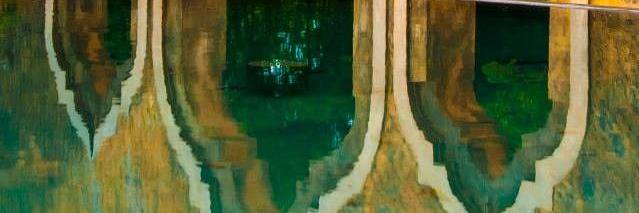 Anchal Bhatia (she/her) banner