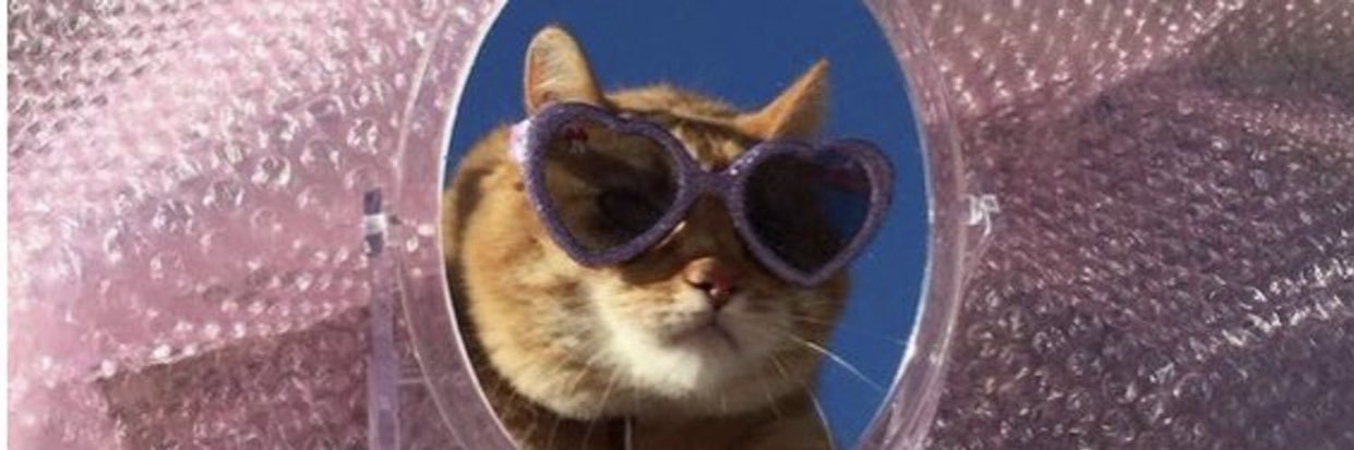 imnotisabella's profile banner image