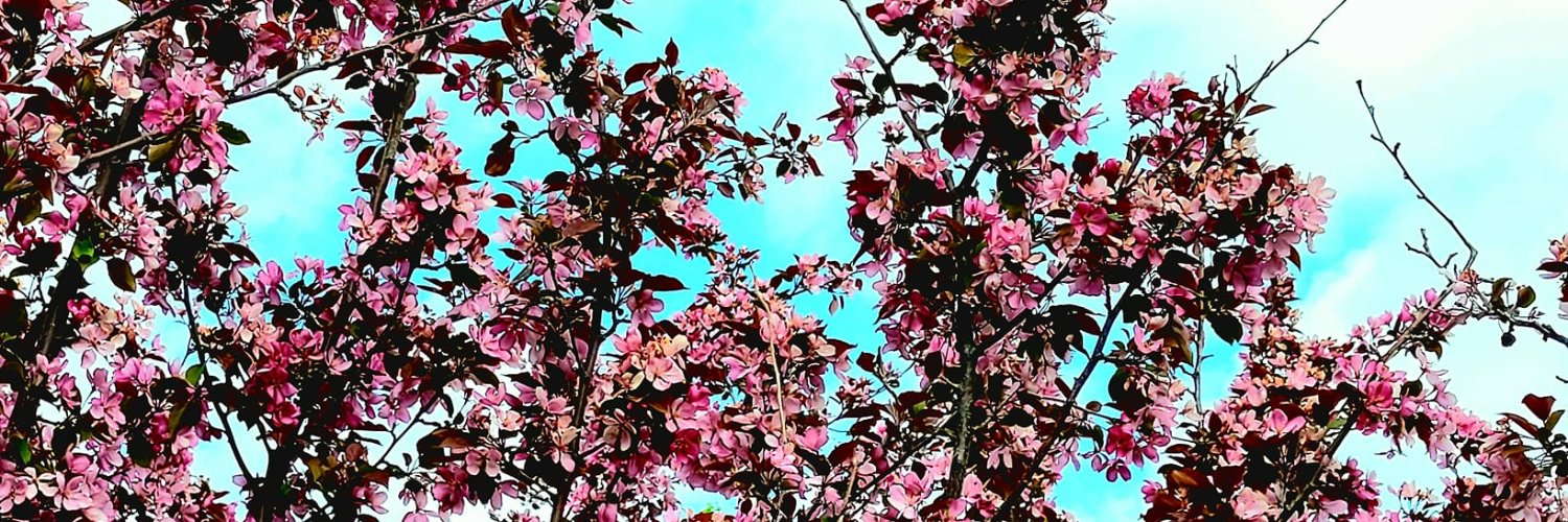 Curt Blandy (he/him) banner