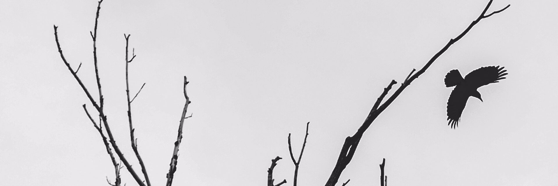 nari_3_'s profile banner image