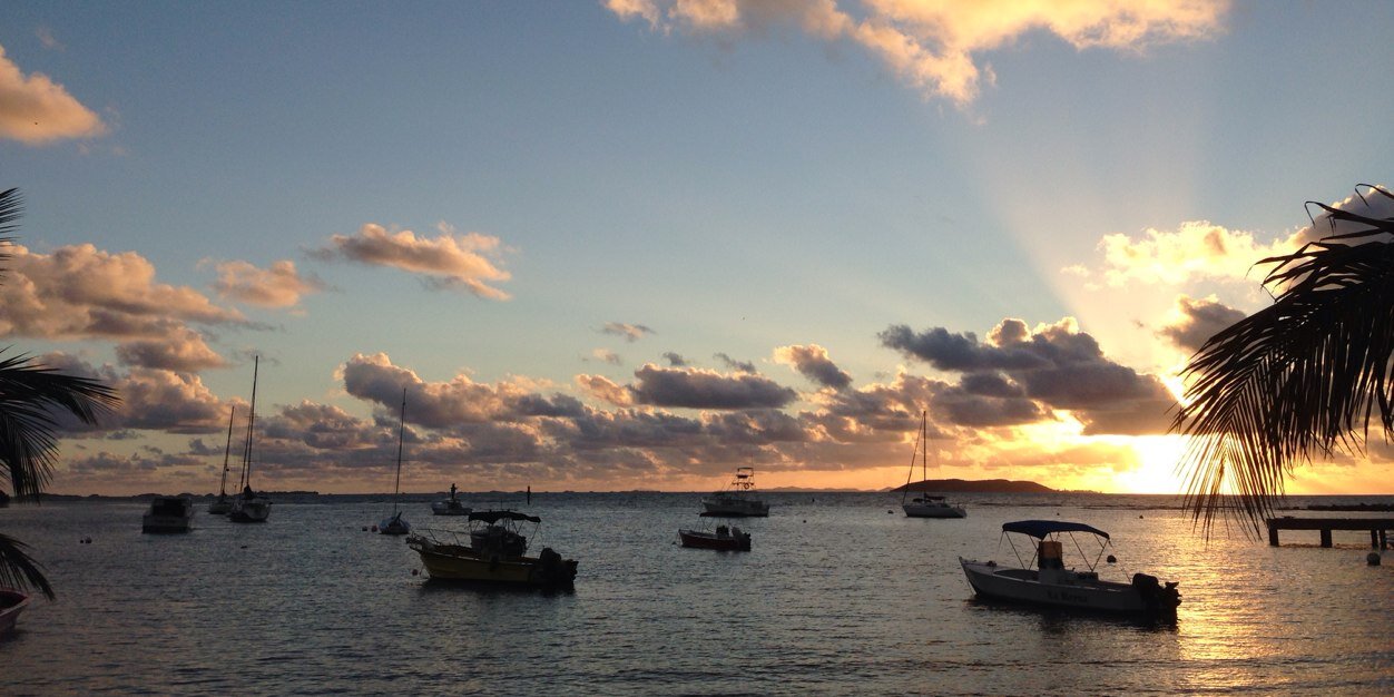 Avillaned's profile banner image
