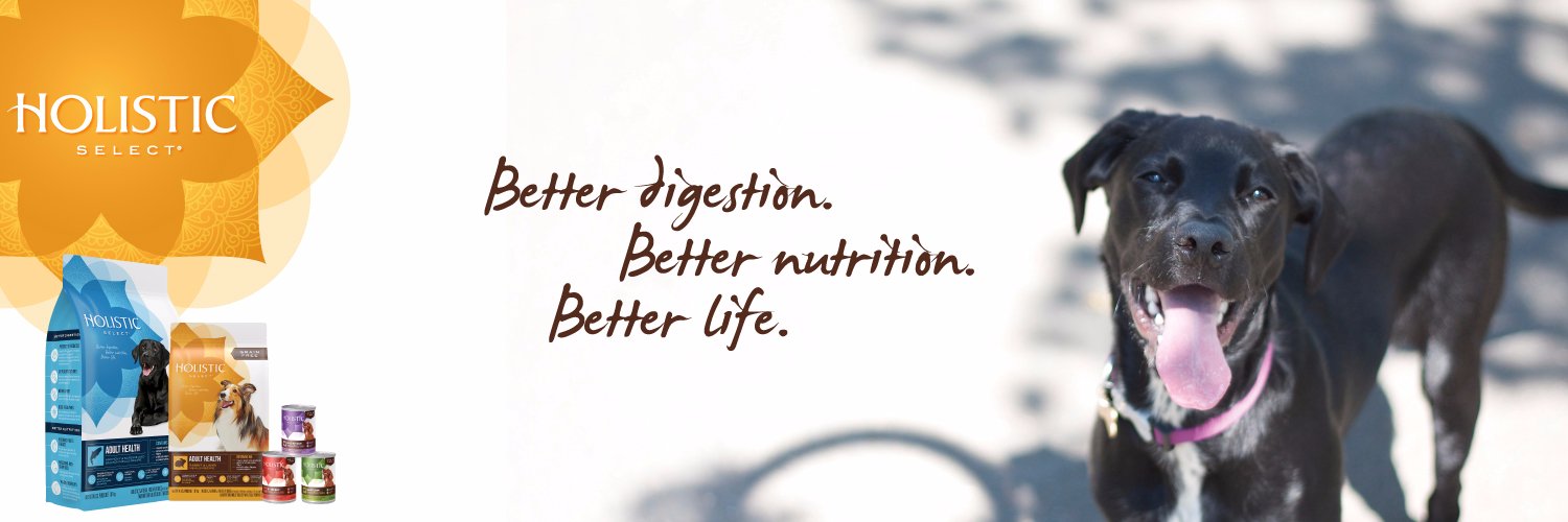 holisticselect's profile banner image