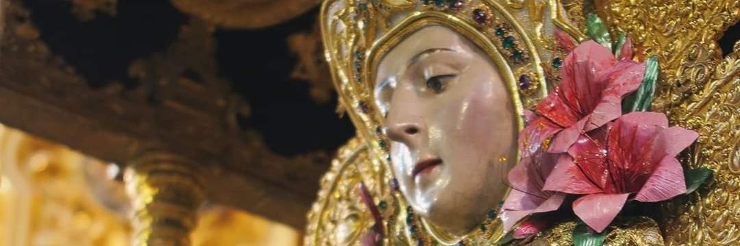 RociioNavarro's profile banner image
